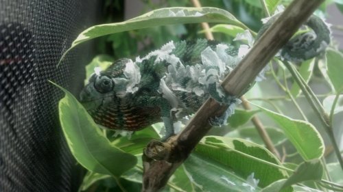 2012-09-12_14-46-54_103.jpg