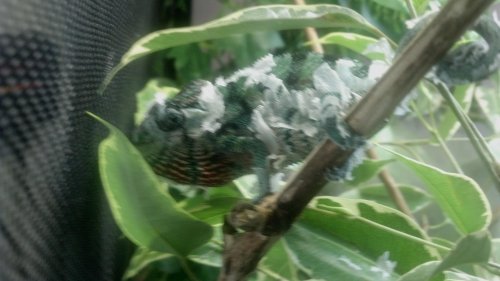 2012-09-12_14-46-57_366.jpg