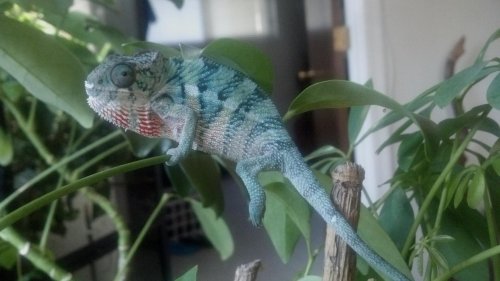 2012-09-12_16-22-34_474.jpg