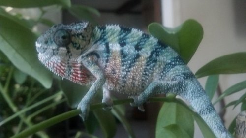 2012-09-12_16-23-10_414.jpg