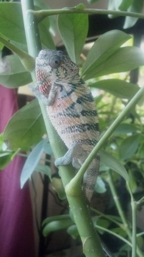 2012-09-12_16-24-53_645.jpg