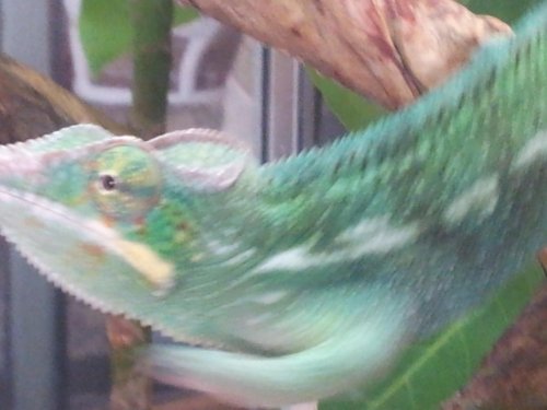 20120909_144716.jpg