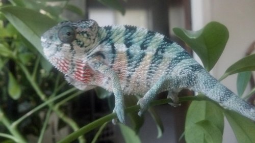 2012-09-12_16-23-20_151.jpg
