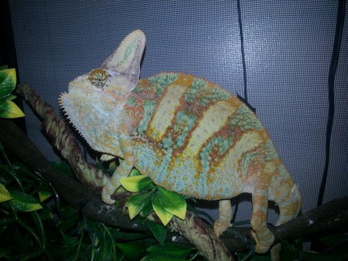 2012-09-14 08.14.12.jpg