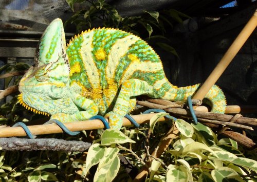 Alibaba one yea 2r.jpg