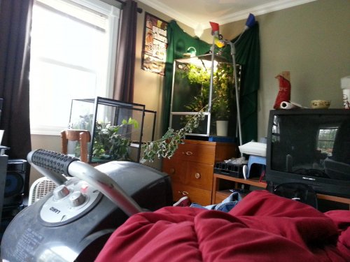 20120916_170110.jpg