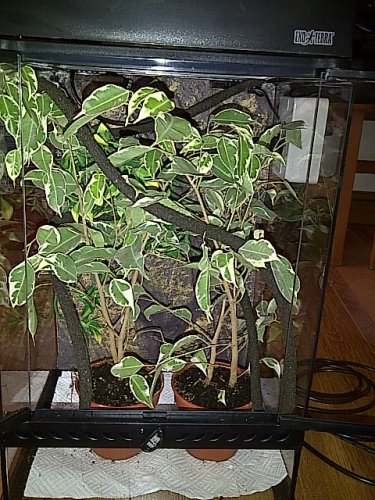 New Forest-20120917-00960.jpg