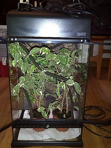 New Forest-20120917-00961.jpg