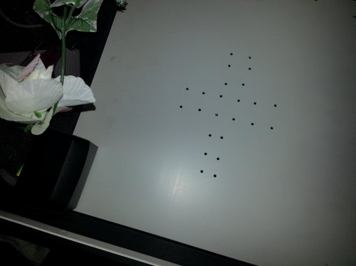 20120917_211823.jpg