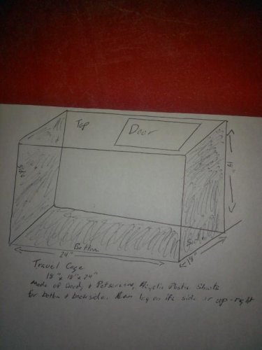 Cageproject.jpg