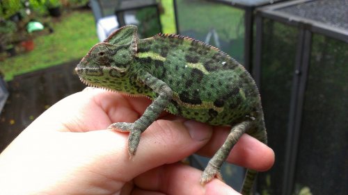 2012-09-18 17.44.02.jpg