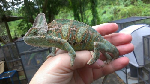 2012-09-16 15.21.57.jpg