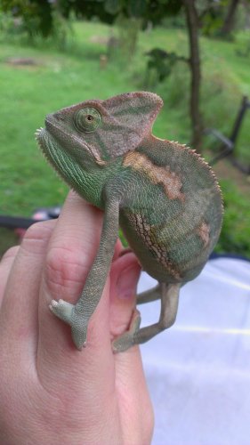 2012-09-12 16.29.40.jpg