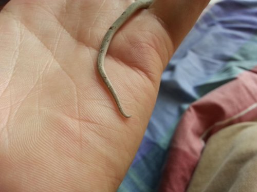 20120920_155141 (1).jpg