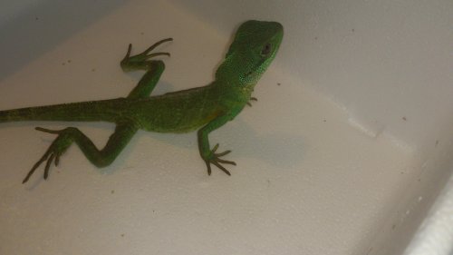 DSC_0250.jpg
