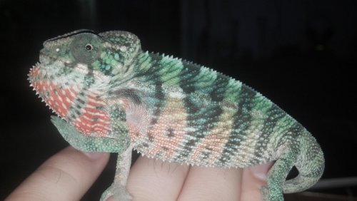 2012-09-23_16-16-19_14.jpg