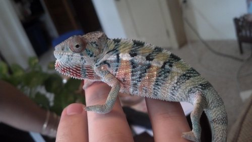 2012-09-20_12-44-47_351.jpg