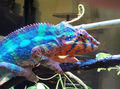 2012-08-08 17.30.16.jpg