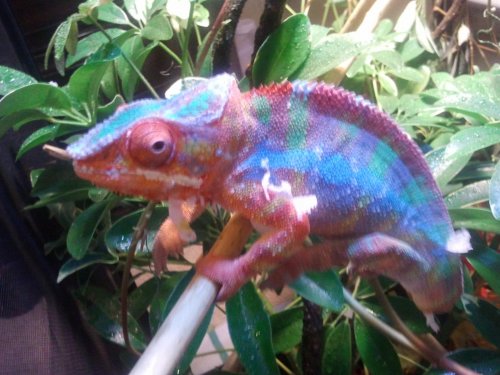 2012-08-24 14.42.35.jpg