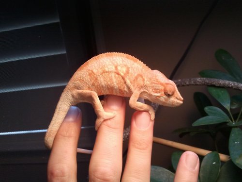 2012-09-13 15.42.06.jpg