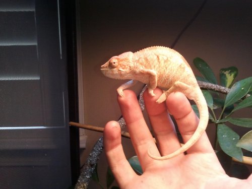 2012-09-13 15.41.41.jpg