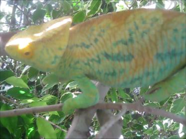 Snapshot 1 (09-24-2012 9-39 AM).jpg