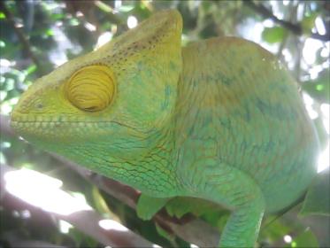 Snapshot 1 (09-24-2012 9-41 AM).jpg