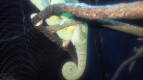 2012-09-24_20-19-48_628.jpg
