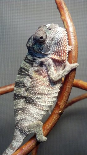 2012-09-24_22-06-38_812.jpg