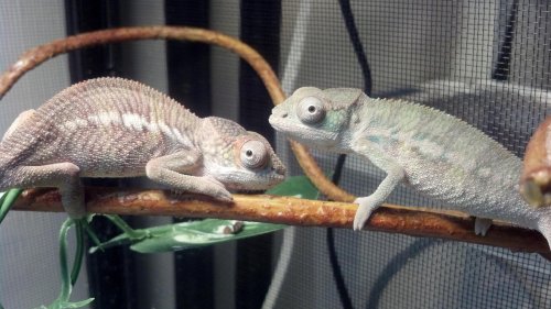 2012-09-24_22-08-18_510.jpg