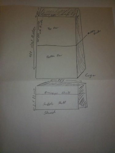 cageproject1.jpg