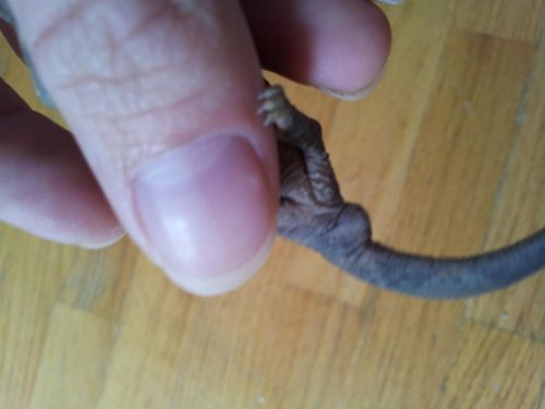 20120926_142620.jpg