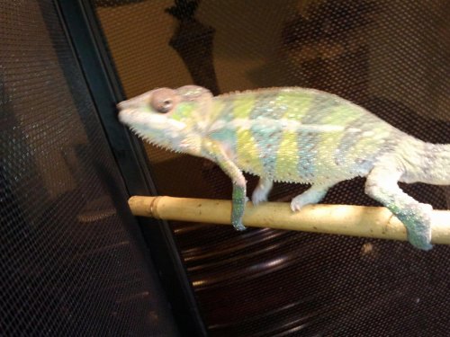 2012-09-27 10.23.49.jpg