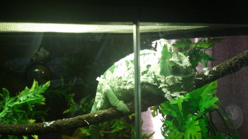 DSC_0289.jpg