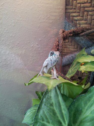 20120922_163740.jpg