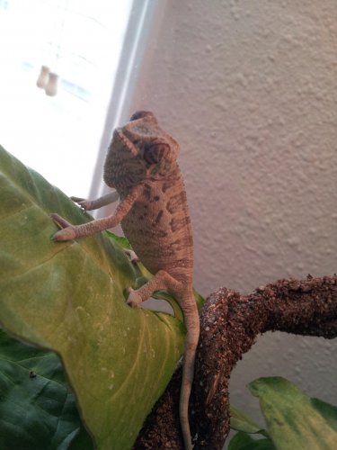 20120922_163814.jpg