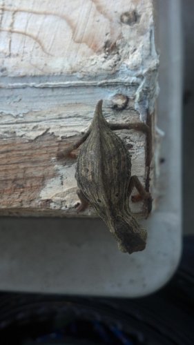 2012-10-02_08-08-47_205.jpg