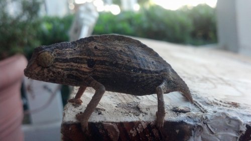 2012-10-02_08-08-33_685.jpg