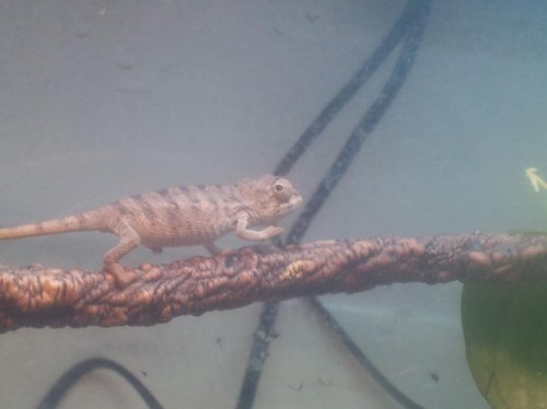 2012-10-02 14.28.31.jpg