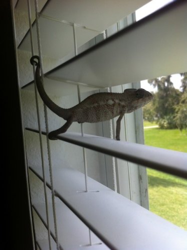 IMG_0654 (Small).jpg