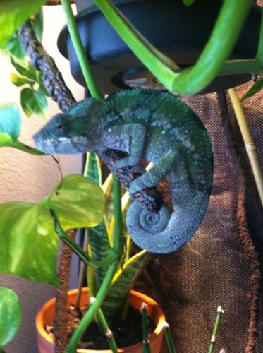 IMG_0858 (Small).jpg