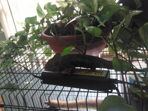 2002-12-08 12.00.00-25.jpg