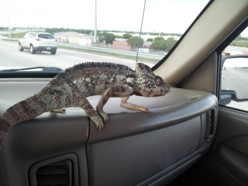 2012-09-10 18.09.32.jpg