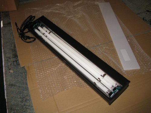 light3.jpg