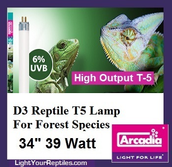 d3t5_linearlamp new.jpg