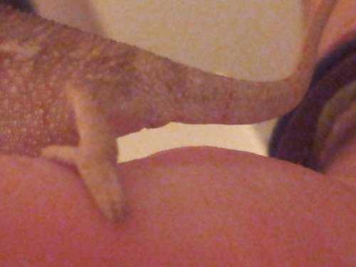 TAIL.jpg