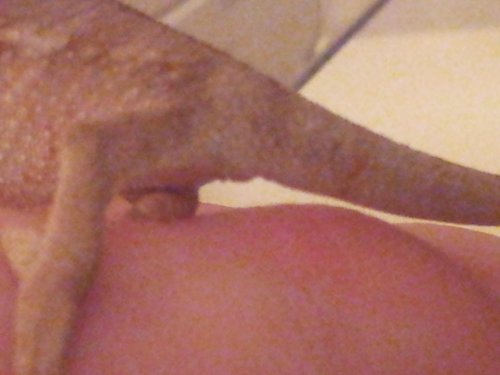 TAIL2.jpg
