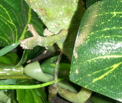 2012-10-07_17.34.40.jpg