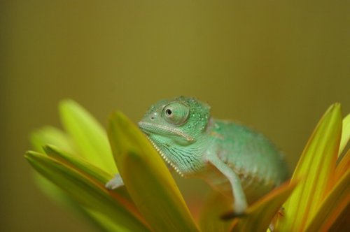 ImageUploadedByTapatalk1349758968.315014.jpg