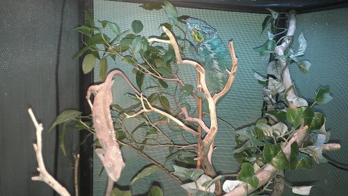 IMAG1304.jpg